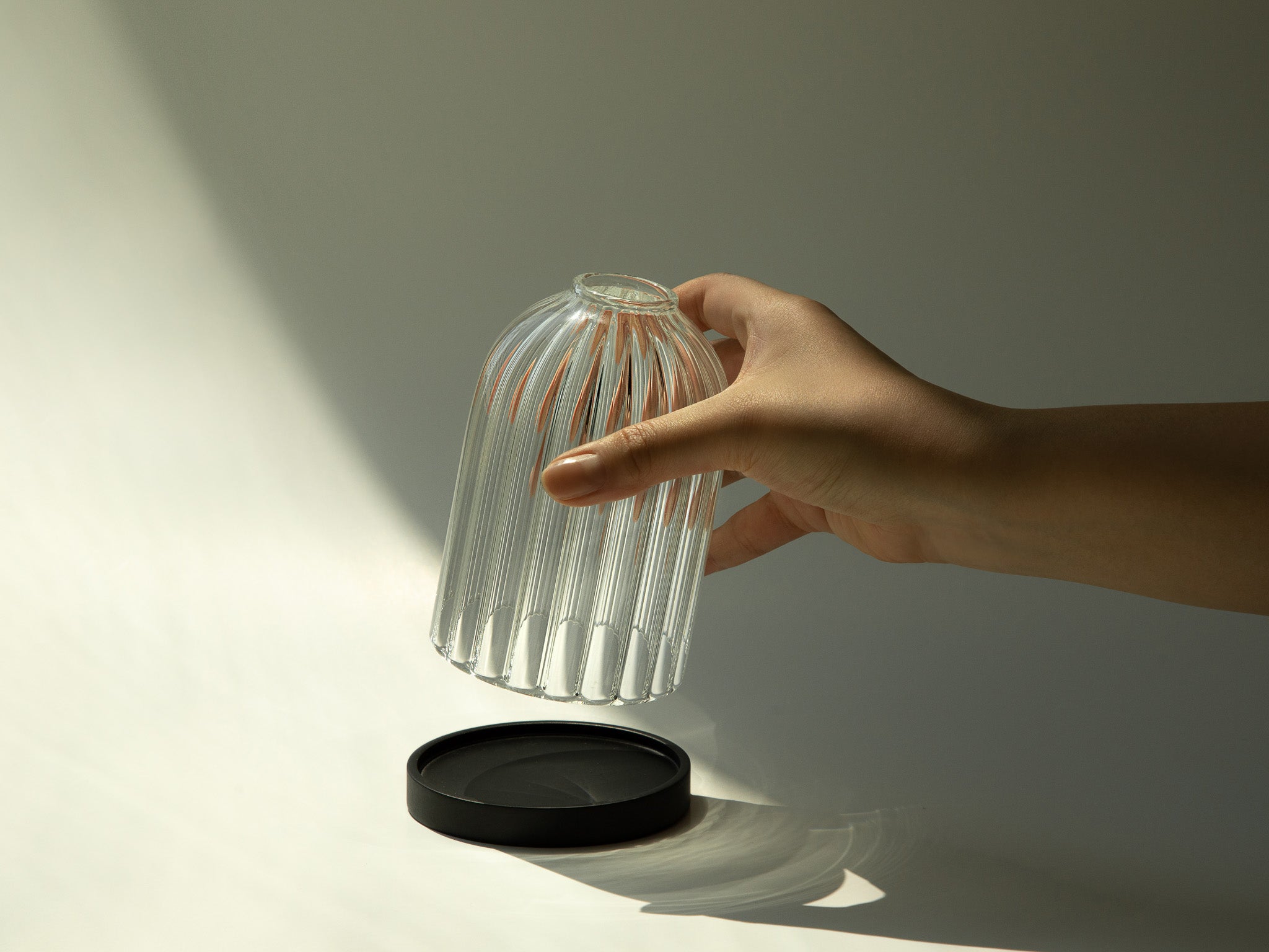 Glass Cloches What Are They and Why Do We Use Them? Luma & Co.